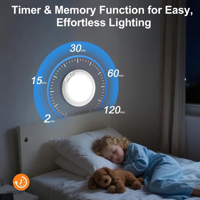 Motion Sensor Ceiling Light