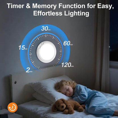 Motion Sensor Ceiling Light