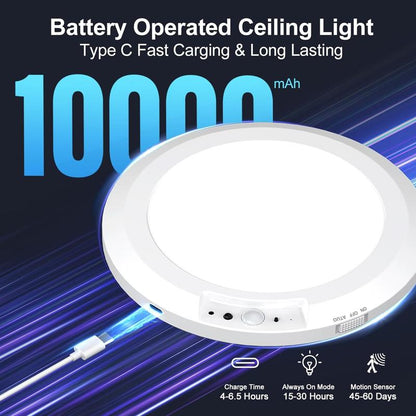 Motion Sensor Ceiling Light