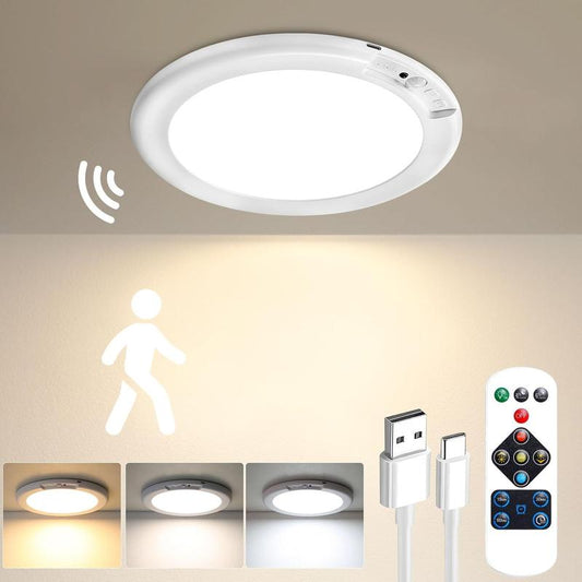 Motion Sensor Ceiling Light